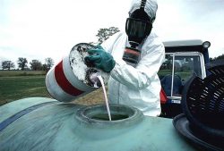 Iniziative contro l’uso di pesticidi di sintesi – La situazione attuale