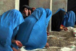 Collasso Afghanistan, tragica resa dei conti