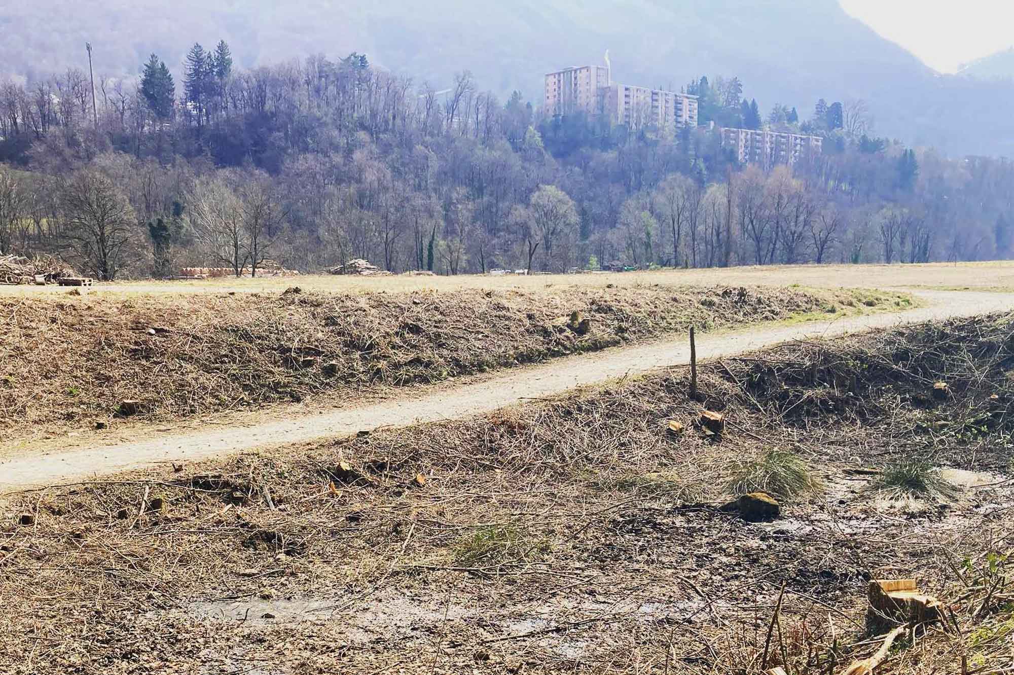 Biotopi e anfibi: a Lugano si risolve tutto con una ruspa?