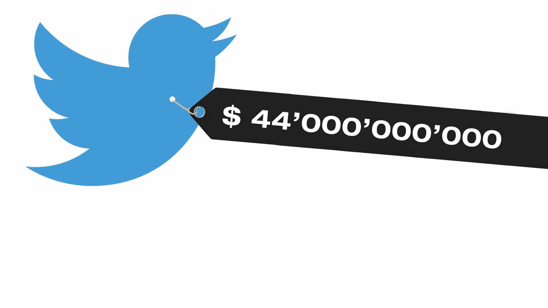 Elon Musk, le mani su Twitter