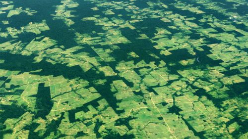 Con Bolsonaro la deforestazione dell’Amazzonia è aumentata del 75%