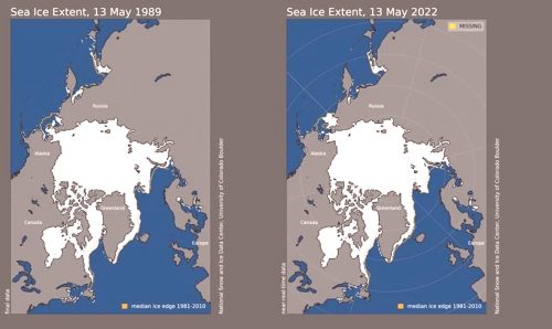 No, i ghiacci dell’Artico non sono rimasti ai livelli del 1989