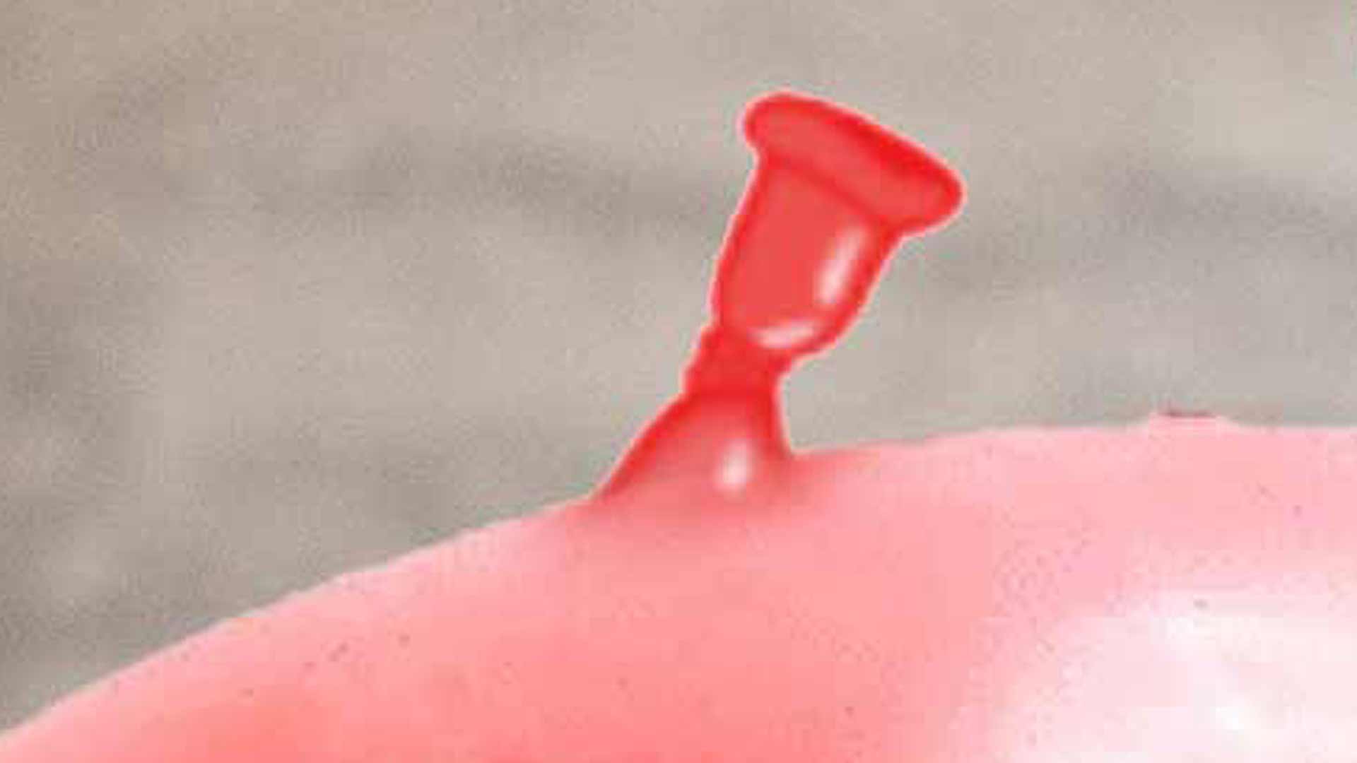 Infondati sospetti