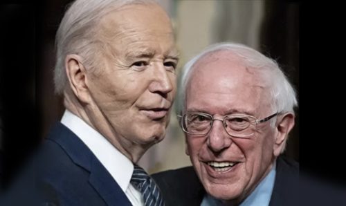 Joe&Bernie, la strana coppia