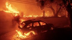 La propaganda trumpista infierisce sulla città in fiamme