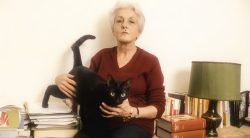 Rossanda e il femminismo: la gatta che pratica l’ascolto