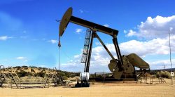 Crisi climatica, cosa succede dopo le scelte di Trump sull’ambiente