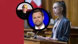 Questa donna politica svizzera è minacciata di morte dai fan di Elon Musk