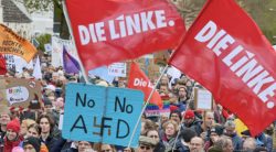 La festa della Linke. Un partito rigenerato dai nuovi iscritti