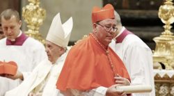 Il cardinale Hollerich: “Basta speculazioni sul Papa: è orribile che si lavori già al conclave”