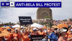 Multilinguismo in Sud Africa – BELA Bill e il Gnu