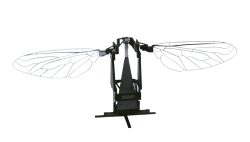 La favola dell’ape-robot