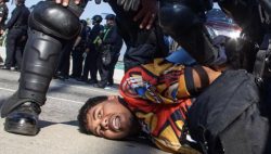 Trump senza freni: “Animale chi protesta, avanti con le retate”