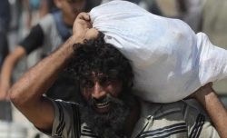 Anna Foa: “Aspettavo le sentenze ma ora mi unisco a Grossman, a Gaza è un genocidio”
