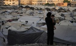 Una terra, questione politica non umanitaria