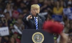 Dazi, perché la Ue è più forte di Trump