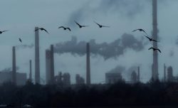 Disastri climatici, ora sappiamo i nomi di chi deve pagare i danni