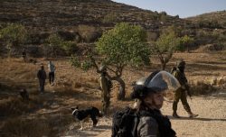 Trump blocca Israele: ferma l’annessione e «apre» a Barghouti