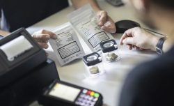 Positivi i primi riscontri sulla distribuzione controllata di cannabis