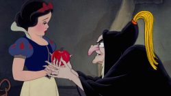 La pancia, quasi sempre cattiva consigliera