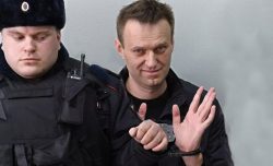 Gli esami di 5 paesi europei: Navalny fu avvelenato con una tossina ricavata dalla rana freccia