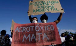Non esiste diritto al lavoro senza diritto all’ambiente