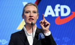 Germania, l’Afd prima nei sondaggi: distacca la Cdu di cinque punti