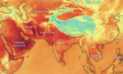 Una Grande Muraglia verde: la strategia di Pechino per combattere il riscaldamento climatico