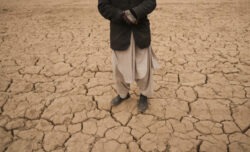 Chi guadagna e chi perde dalla crisi del clima