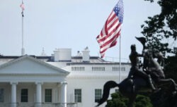 Usa, aumentano le vittorie dei socialisti democratici: puntano al Congresso ma anche a Washington