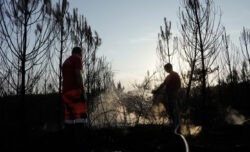 Clima estremo, in Europa 35mila morti per il caldo