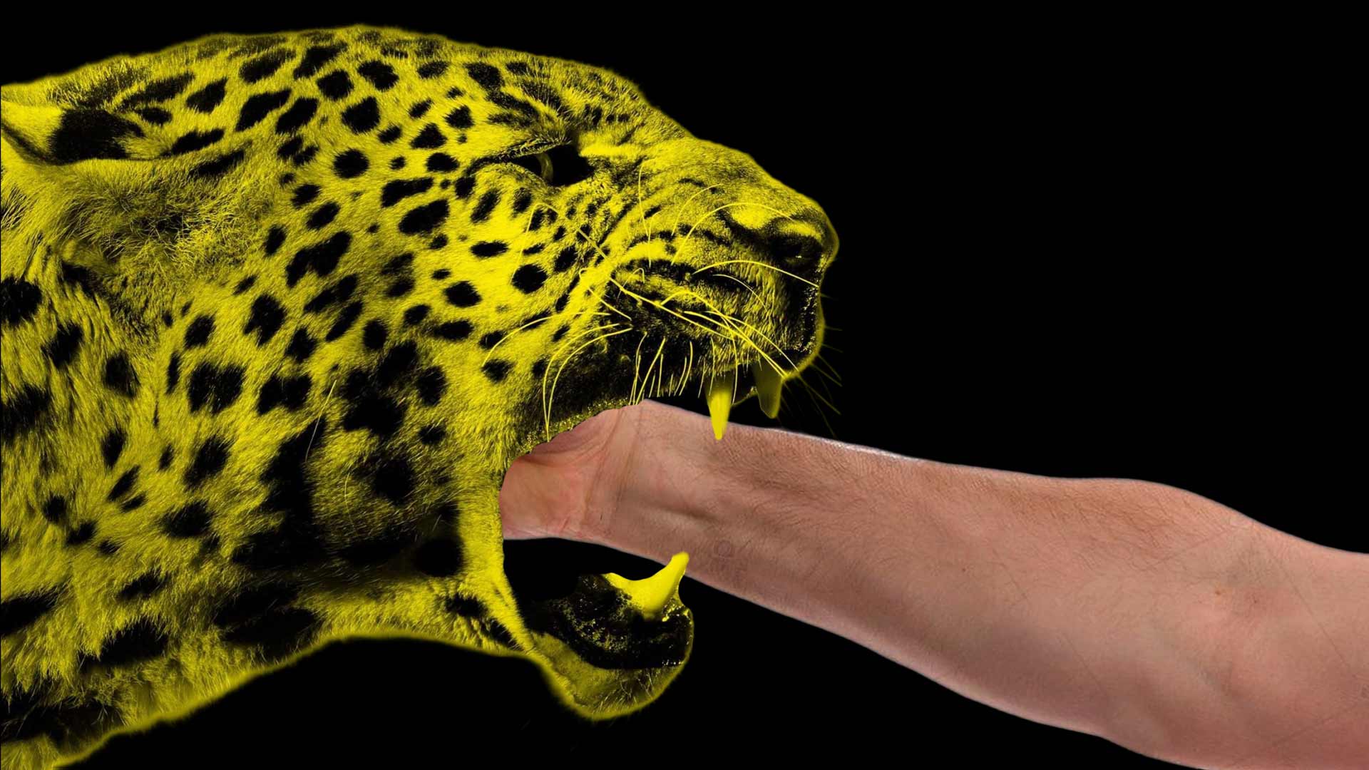 Il Festival di Locarno e il conformismo dell’alternativa