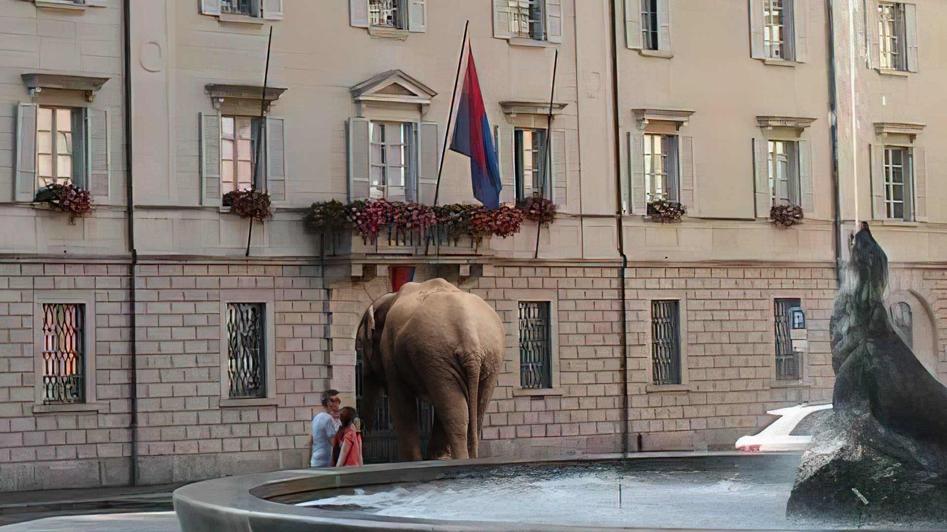 La politica e l’elefante