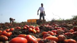 Immigrazione e decreto flussi, la lotteria della vergogna